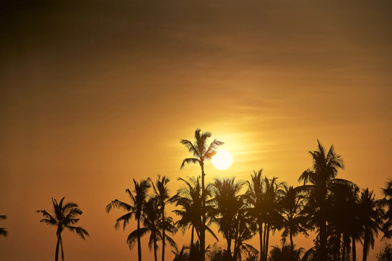 Fanar-Hotel-&-Residences-Hawana-Salalah-Oman-Sunset-4