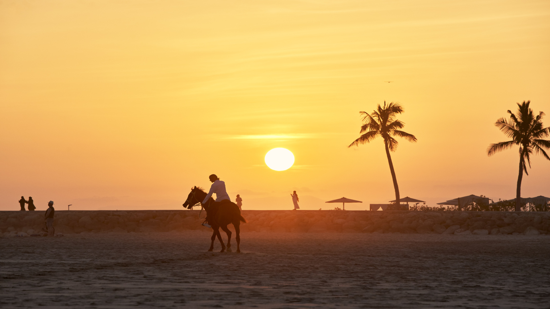 Horse riding during sunset at Rotana Salalah Oman