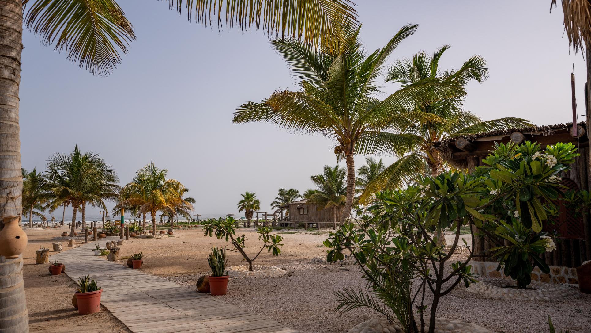 الطبيعة الخلابة في سولي لودج صلالة عمان