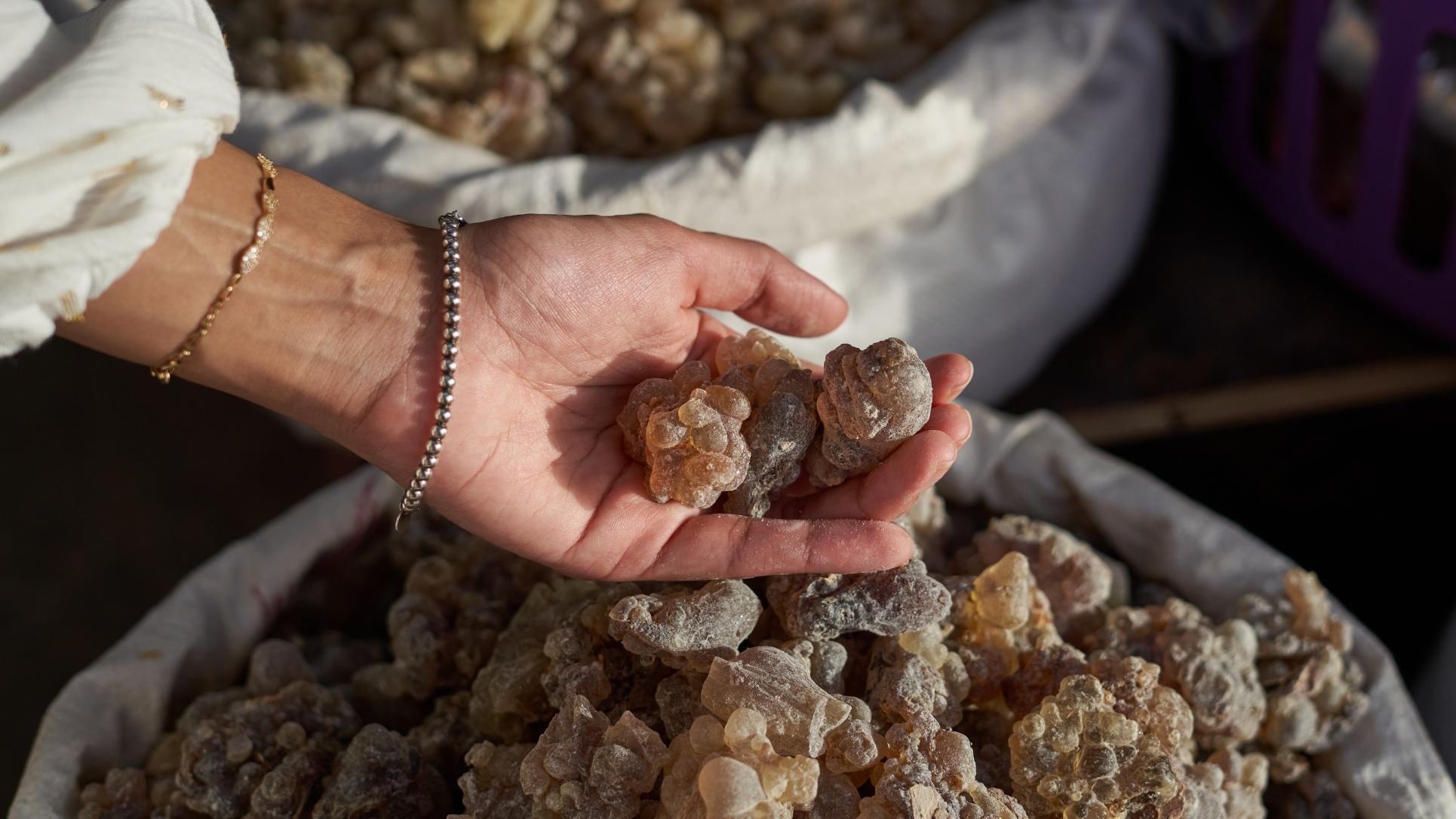 تجربة التسوق الرائعة في سوق هوانا صلالة