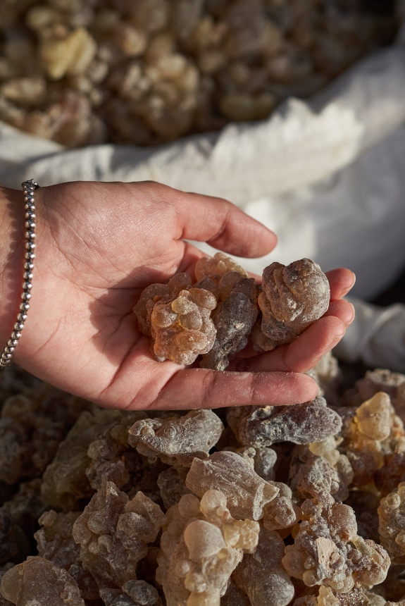 تجربة التسوق الرائعة في سوق هوانا صلالة