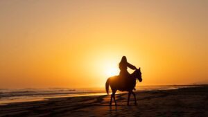 a women riding a horse on the sea shore during sunset at Hawana Salalah Oman