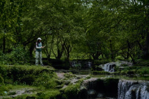 Hawana_Salalah_Khareef_ 14.jpg