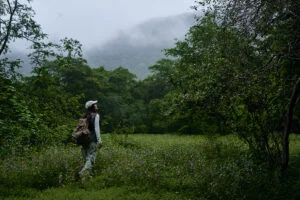Hawana_Salalah_Khareef_-4