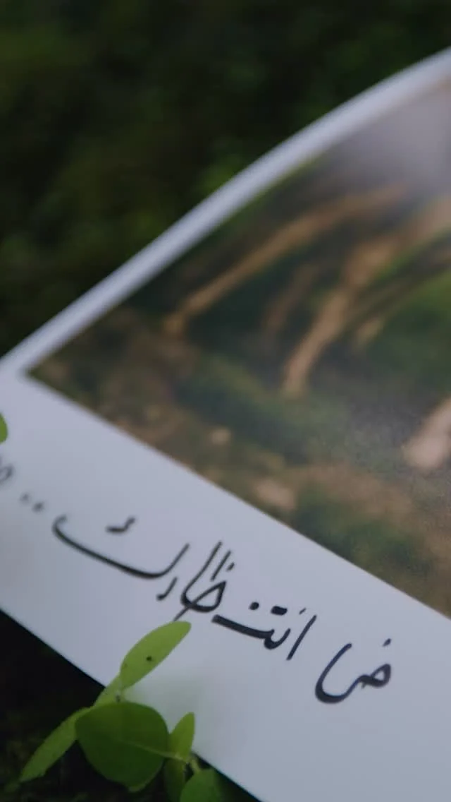 ⁨	هذا الصيف، استبدلوا الحرّ بسماء ضبابية منعشة. خريف صلالة يناديكم - هواء منعش، جبال خضراء، ولحظات لا تُنسى مع عائلتكم. 🌧💚

. خصم يصل إلى ٢٠٪ على إقامتكم في فنادق هوانا صلالة
. دخول مجاني إلى حديقة هوانا المائية، متعة لجميع الأعمار
. العرض ساري لـ سكان دول مجلس التعاون الخليجي

📞 للحجز: اتصلوا على 0096823275748 أو اتبعوا الرابط في البايو.

This summer, trade the heat for misty skies.
Salalah’s Khareef is calling — cool air, green mountains, and moments your family and friends will never forget. 🌧💚

. Up to 20% OFF your stay at Hawana Salalah Hotels
. FREE access to Hawana Aqua Park — fun for all ages
. Exclusive for all GCC residents

📞 For bookings: call +968 2327 5748 or follow the link in bio.
.
.
.
.
.
.
.
#HawanaSalalah #KhareefSalalah #Khareef #Salalah #Oman #juweiraboutique #KhareefSalalah2025 #Muscat #UAE #KSA #Kuwait #Qatar #Bahrain #خريف_صلالة #صلالة⁩