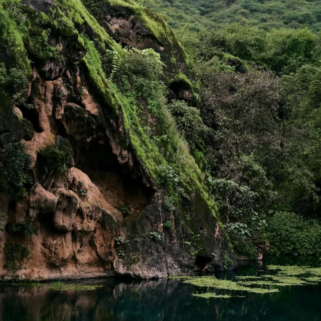 إقامة مميزة بإطلالة مريحة على المارينا في فندق جويرة. 🍃
استيقظ على منظر القوارب وأضواء المرسى، وتمتع بجو هادئ يجمع بين الراحة والطبيعة الخريفية الخلابة.

📞 للحجز: 0096823275748 أو عبر الرابط في البايو.

Experience a unique stay with relaxing marina views at Juweira Hotel! Wake up to boats and marina lights, enjoy a calm atmosphere blending comfort with the stunning Khareef nature.

For reservations: +968 2327 5748 or via the link in the Bio.
.
.
.
.
.
.
.
#HawanaSalalah #KhareefSalalah #Khareef #Salalah #Oman #JuweiraBoutiqueHotel #KhareefSalalah2025 #Muscat #UAE #KSA #Kuwait #Qatar #Bahrain #خريف_صلالة #صلالة